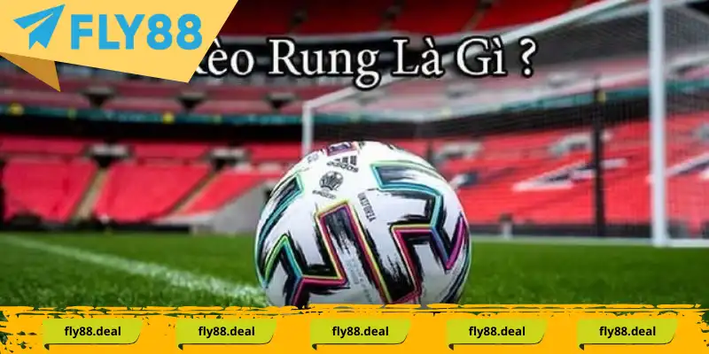 tim hieu ve keo rung la gi 1